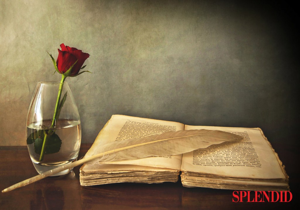 open old book, a rose in a vase and a feather