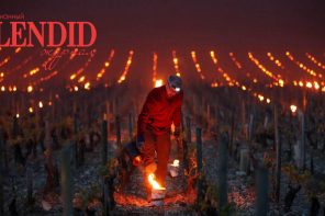 В Италии разжигают костры, чтобы согреть виноградники